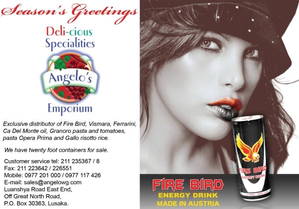 Angelos's Emporium fire bird energy drink brochure